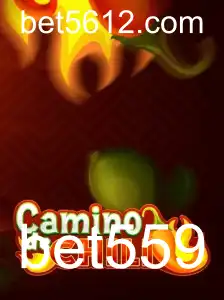 Descubra o Excitante Mundo de CaminodeChili